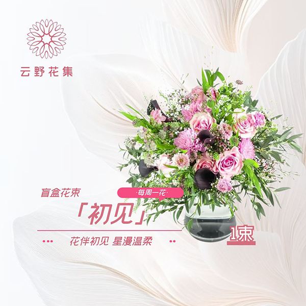 —初见(一束盲盒款)